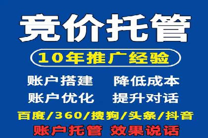 行业领先SEM托管代运营案例
